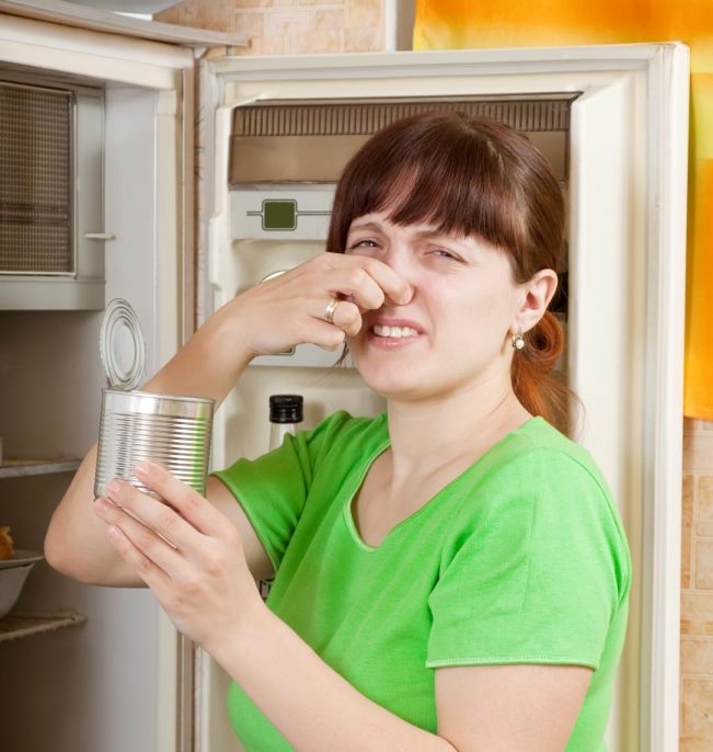 Фото - Как убрать запах из холодильника?  Какими могут быть причины запаха в холодильнике?